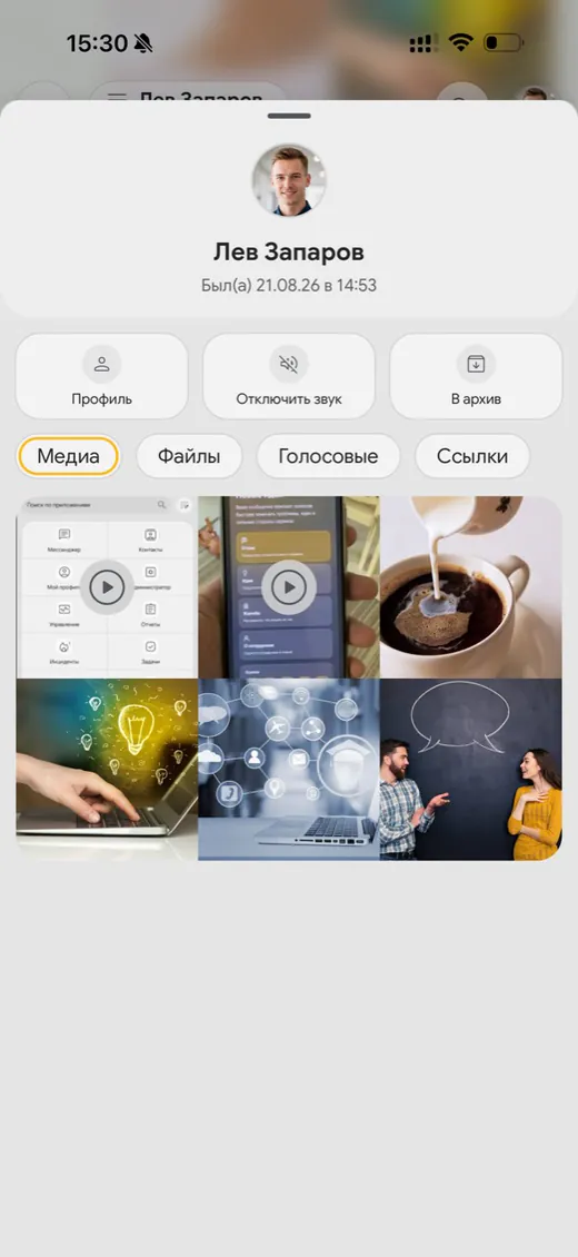 Раздел медиа, файлов, голосовых сообщений и ссылок в чате Synchra24